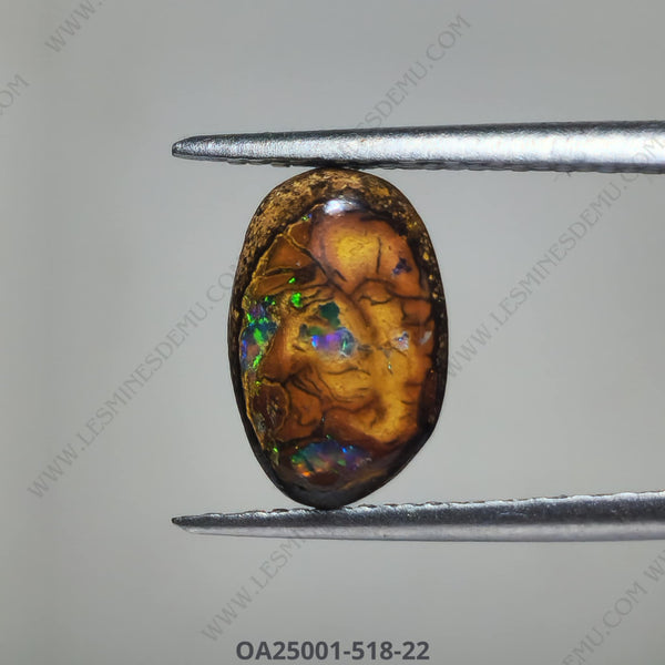 Opale boulder d'Australie - OA25001-518-22 - Pierre cabochon d'exception