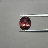 Tourmaline bicolore de Madagascar naturelle - TOU-MAD-162-012-080126 - Pierre Facettée