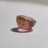 Tourmaline bicolore de Madagascar naturelle - TOU-MAD-187-012-080126 - Pierre Facettée