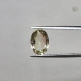 Tourmaline bicolore de Madagascar naturelle - TOU-MAD-275-012-080126 - Pierre Facettée